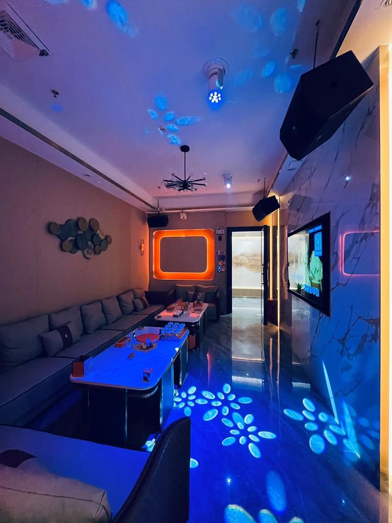 上海商务ktv中低端区别解析-普陀区ktv预定