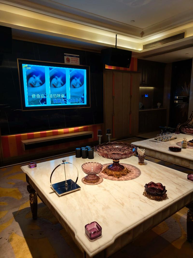 上海商务ktv总排行精选推荐-普陀区ktv预定